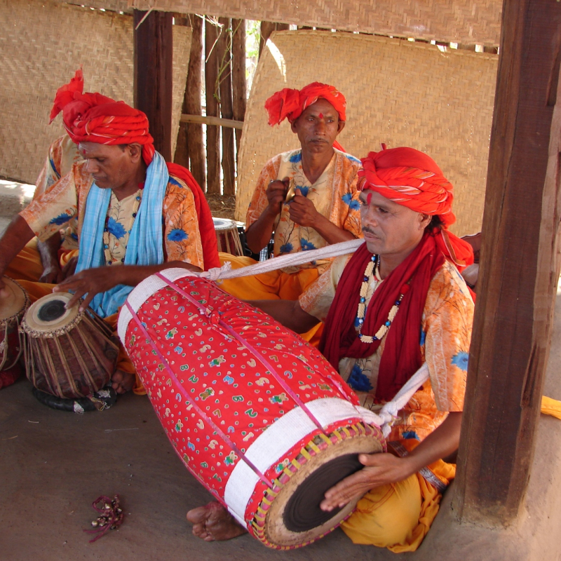 मैदानी छत्तीसगढ़ के लोकप्रिय वाद्य Musical instruments from mainland